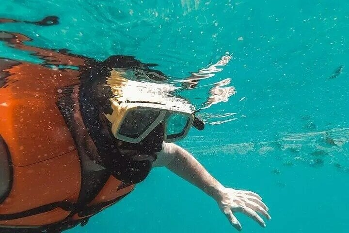 Snorkelling in Port City: Guided Session, photo 2