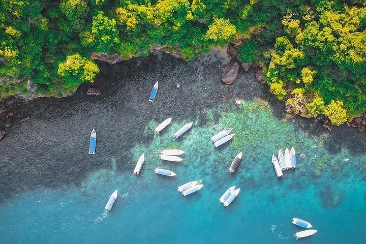 Langkawi Private Marine Odyssey – Snorkel & Mangrove Discovery, photo 3