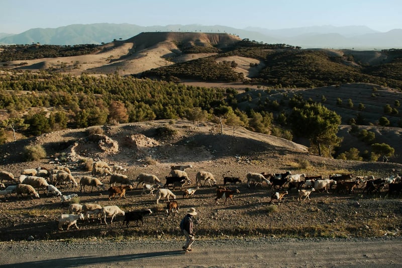 2-Day Azzaden Valley Trek from Marrakech, photo 2