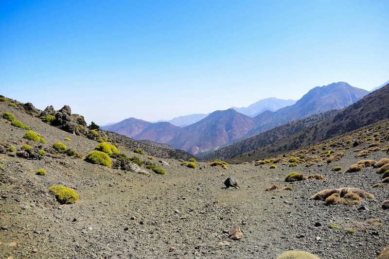 6-Day Marrakech and High Atlas Trek, photo 2