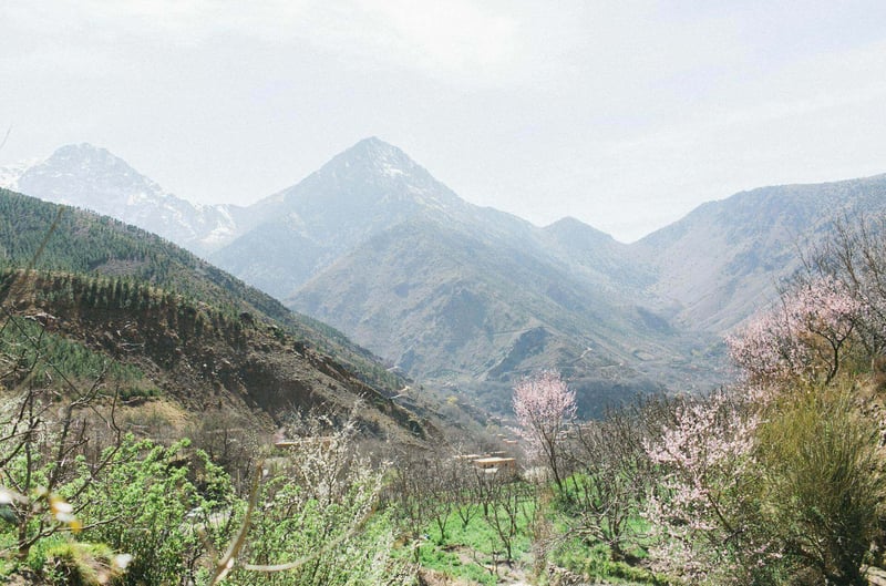 2-Day Mount Toubkal Trek from Marrakech, photo 4