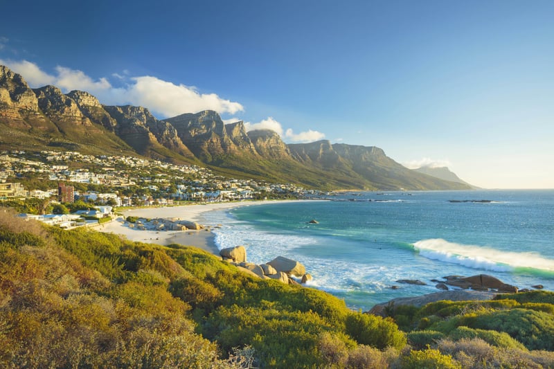 Mountain to Sea Walking Adventure on the Cape Town Coastline, photo 2