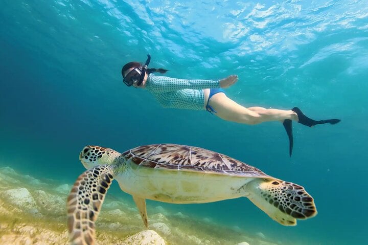 Jungle ATV and Turtle Snorkel in Akumal, photo 2
