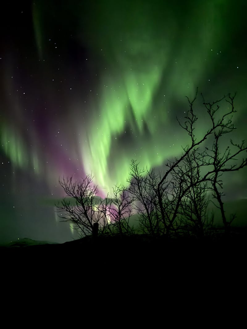Northern Lights Chase in Kiruna, photo 2