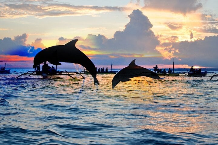 Lovina Family Adventure Dolphins, Sunrise and Snorkeling, photo 3