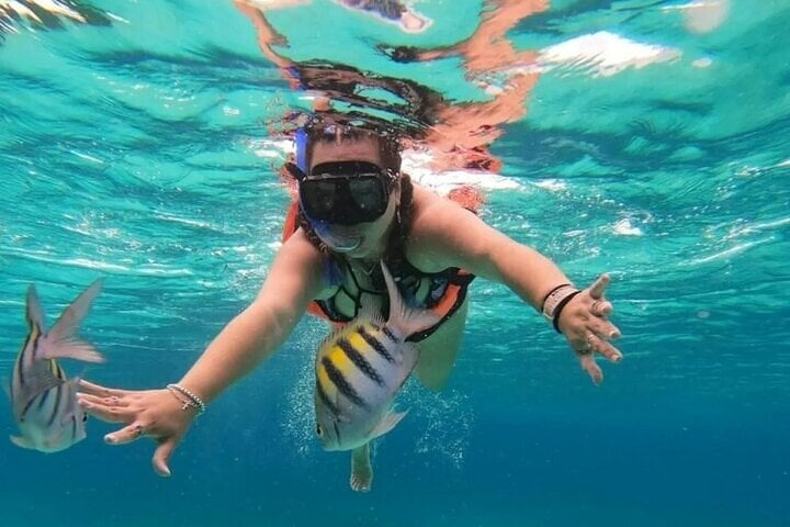 Snorkelling at Pigeon Island, Trincomalee: Guided Marine Safari, photo 3
