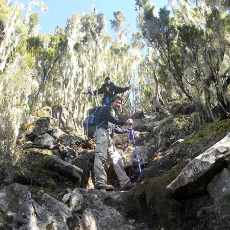 10 Day Kilimanjaro Western Approach Trek, photo 4