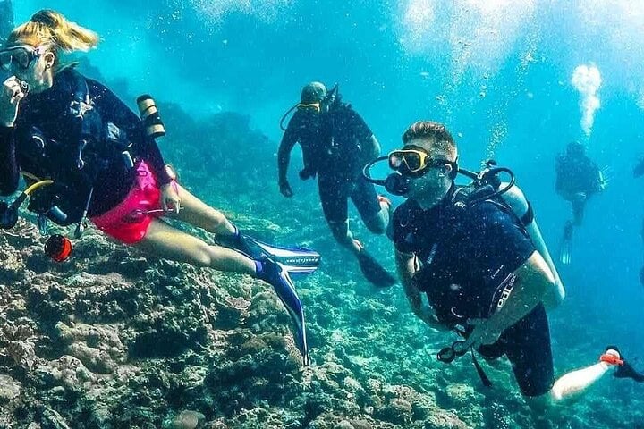 Scuba Diving and Snorkeling Trip in Side, photo 3