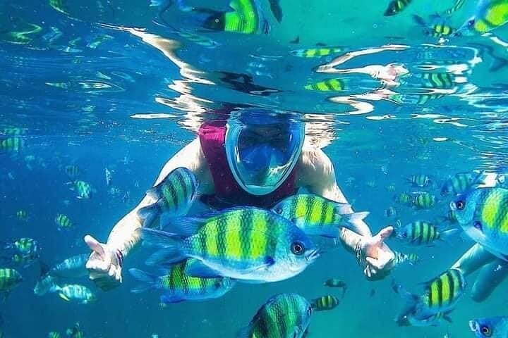 Langkawi Private Marine Odyssey – Snorkel & Mangrove Discovery, photo 2