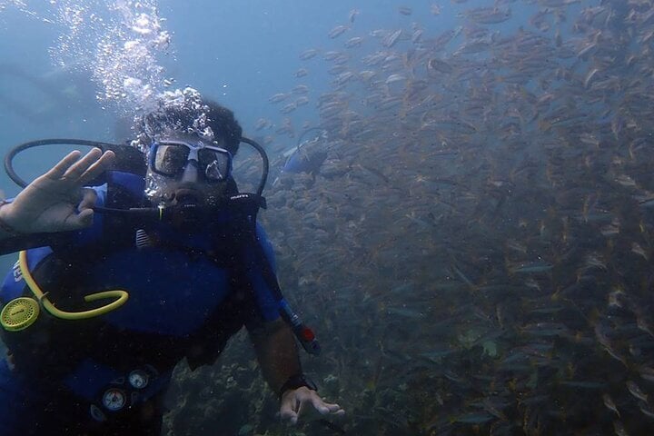 Bodrum Scuba Diving Experience with Lunch & Hotel Transfers, photo 4