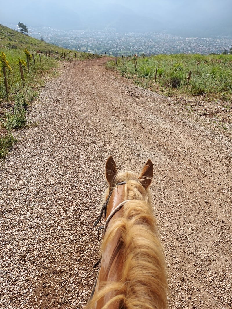 Fethiye Horse Riding Experience with Professional Guide & Hotel Transfers, photo 4
