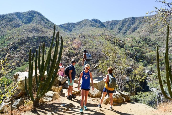 Fox Canyon Waterfall Hike with Baja Lunch, Los Cabos, photo 3