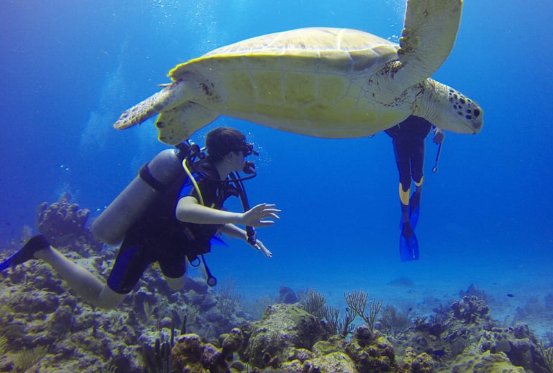 Scuba Diving Discovery in Paracas, photo 3