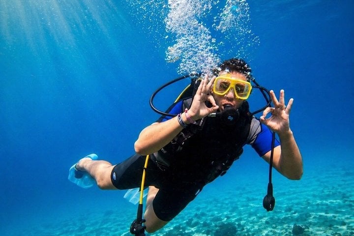 Snorkelling Trip with Dugongs and Turtles in Marsa Alam, photo 4