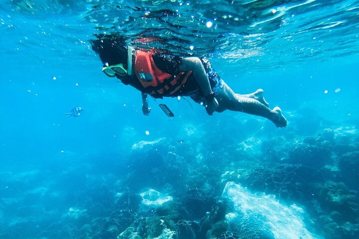 Guided Snorkelling in Negombo: Reef and Lagoon Tour, photo 3