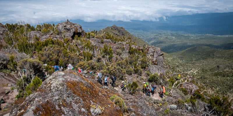 7 Day Kilimanjaro Climb via the Machame Route, photo 4