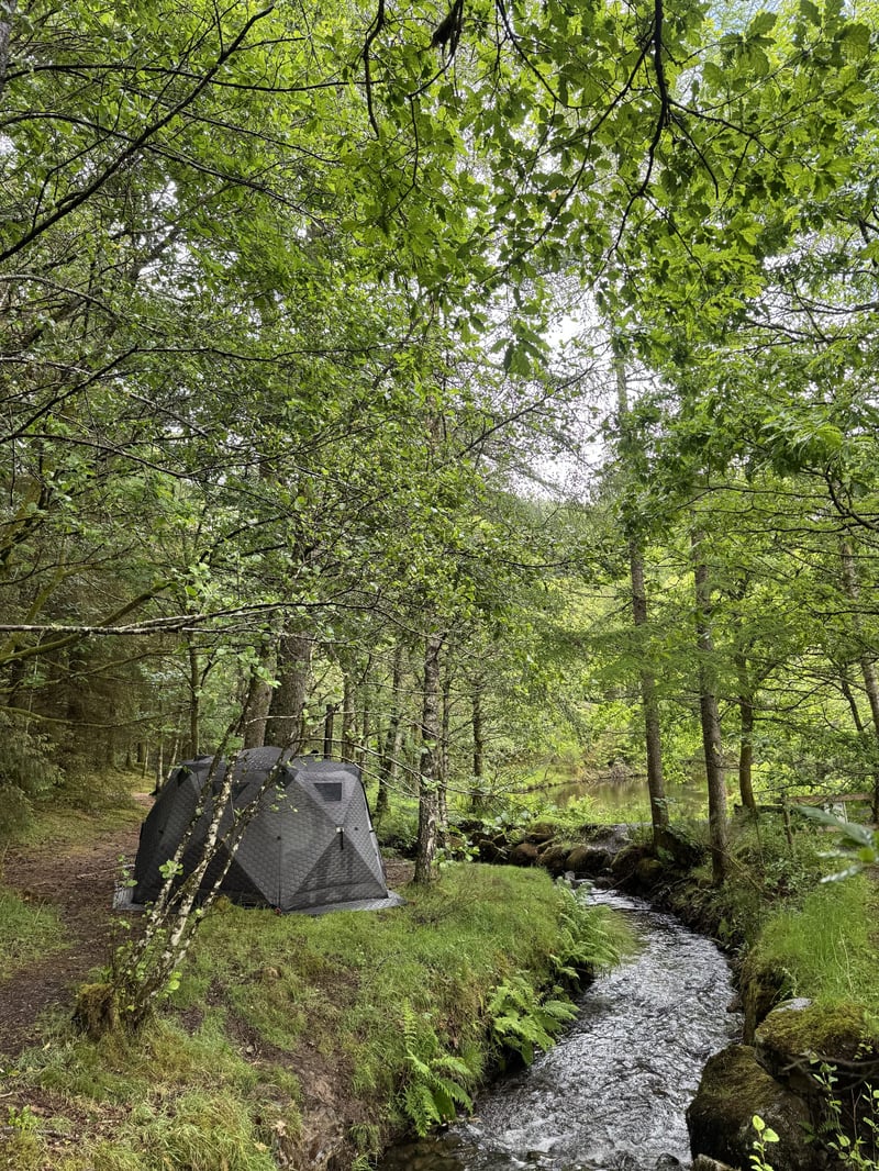 Whinlatter Forest Wild Sauna and Wild Plunge, photo 3