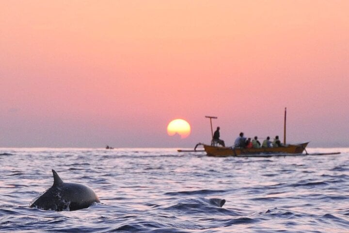 Lovina Family Adventure Dolphins, Sunrise and Snorkeling, photo 2
