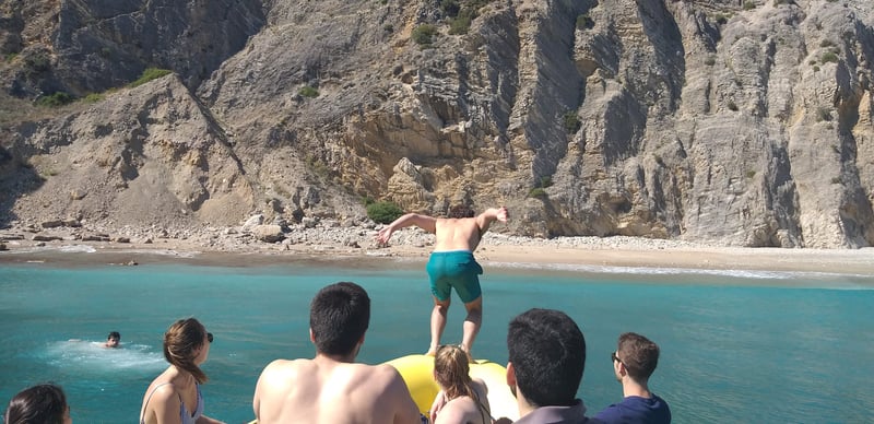 Dolphin Watching and Jeep Safari in Sado and Arrábida, photo 5