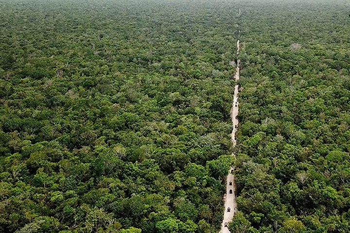 Off-Road ATV Monkey Sanctuary Tour in Akumal, photo 2