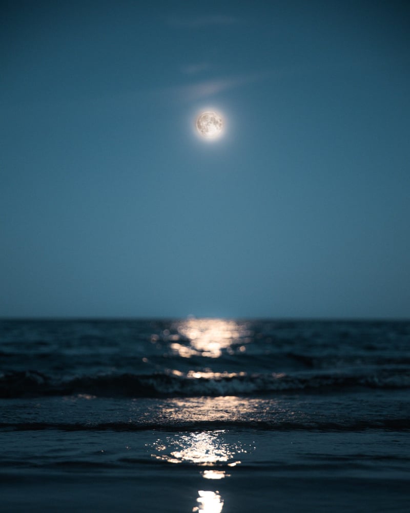 2.5-Hour Full Moon Night Sail in Sotogrande, photo 2