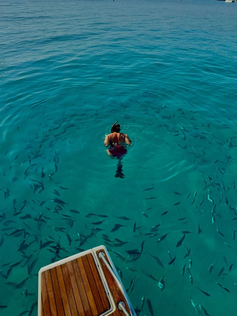 Private All-Inclusive Boat Tour to the Lérins Islands from Cannes, photo 2