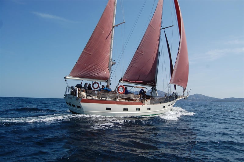 Half Day Private Sail in Port de Pollença, photo 5