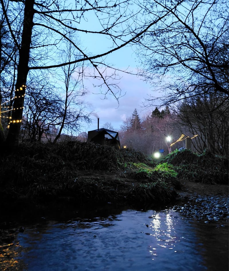 New Moon Sauna and Moonlit Swim in Hamsterley Forest, photo 4