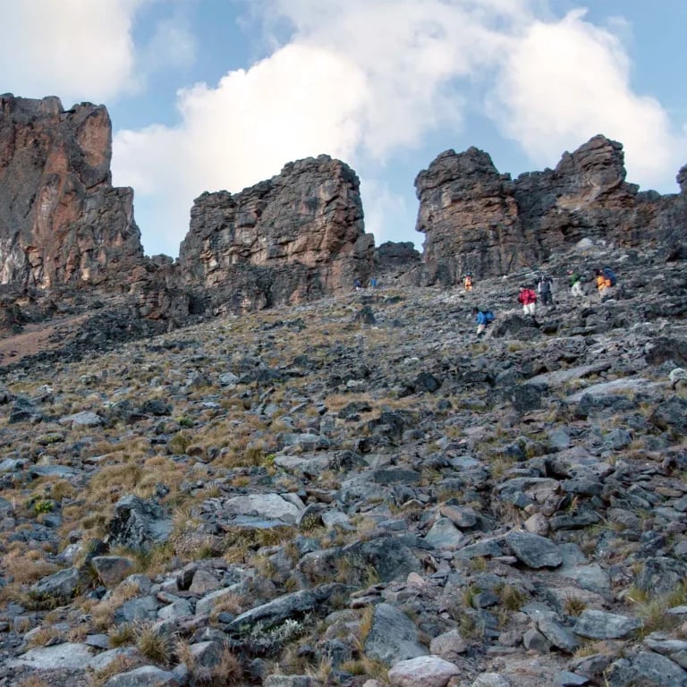 10 Day Kilimanjaro Western Approach Trek, photo 5