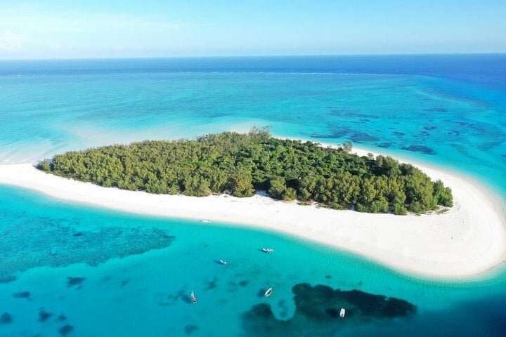 Mnemba Island Snorkel and Dolphin Tour in Zanzibar, photo 5