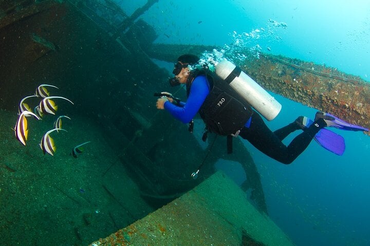 Scuba Diving in Colombo: Guided Wreck Dive, photo 3