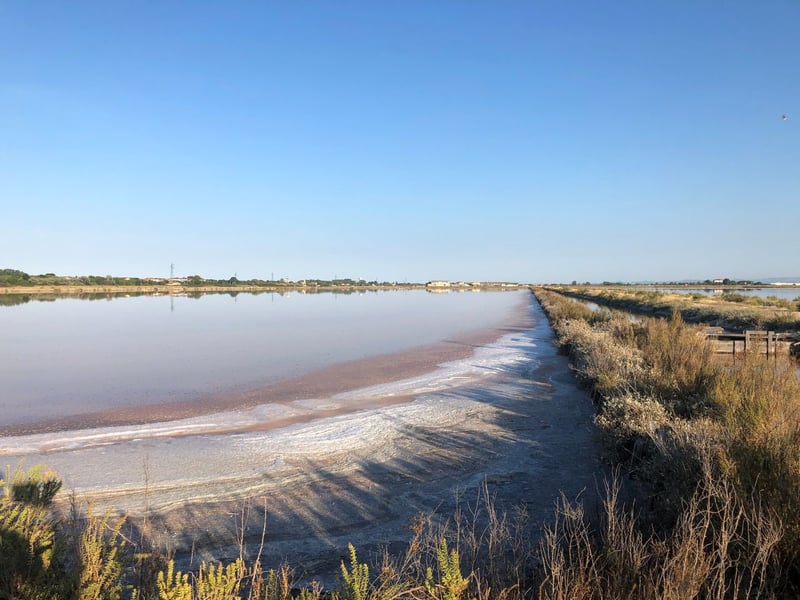 Salt Mountains Bike Tour in Cervia, photo 3