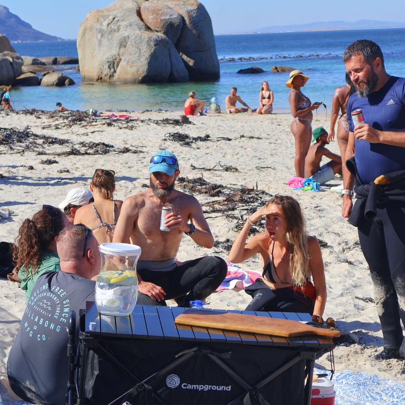 African Sea Forest Snorkel and Penguin Picnic in Cape Town, photo 4