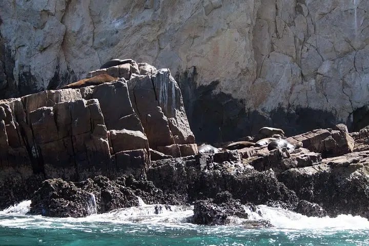 Private Glass Bottom Kayak and Snorkel to the Arch, Cabo San Lucas, photo 5