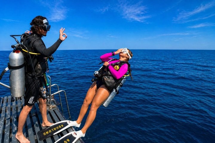 Diving and Snorkelling Boat Trip in Ras Mohammed and White Island, photo 4