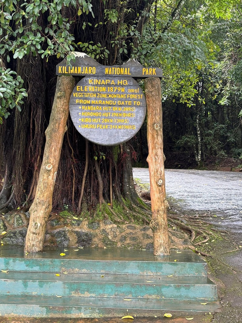 2 Day Kilimanjaro Hike via the Marangu Route, photo 2