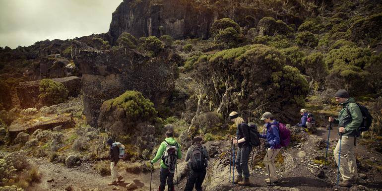 10 Day Kilimanjaro Climb via the Lemosho Route, photo 4