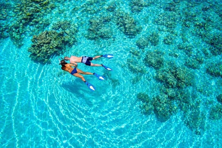 Snorkelling Trip with Dugongs and Turtles in Marsa Alam, photo 5