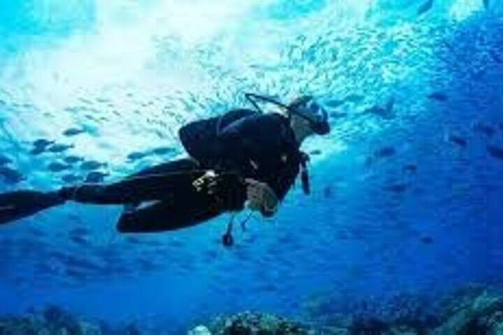Scuba Diving in Pasikudah: Three Hour Guided Dive, photo 3