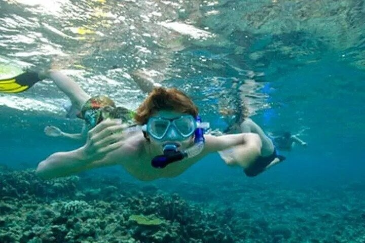 Snorkelling in Port City: Guided Session, photo 3