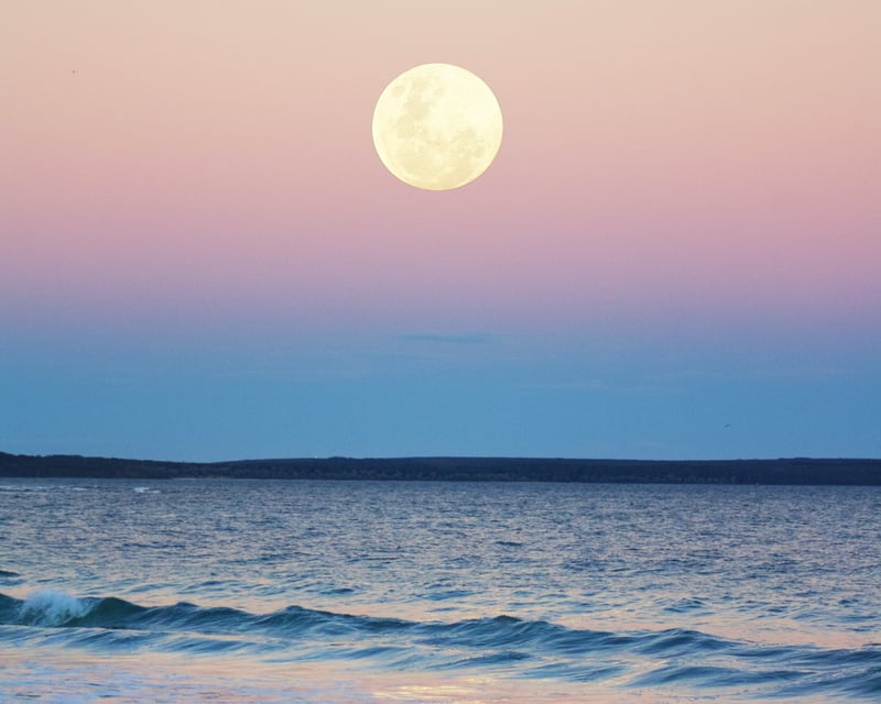2.5-Hour Full Moon Night Sail in Sotogrande, photo 3