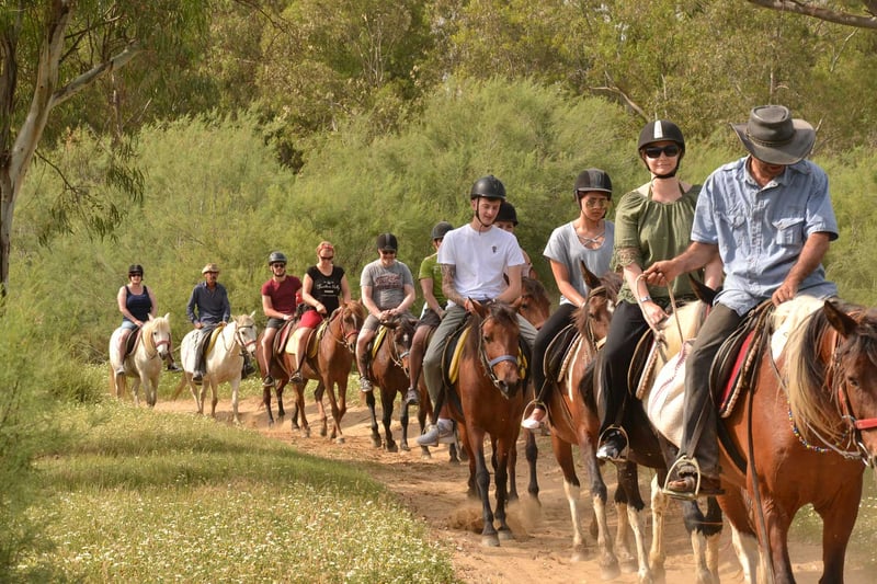 Marmaris Horse Riding Safari with Hotel Transfers, photo 5