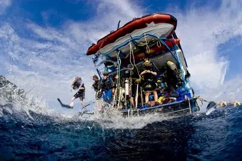 Side Scuba Diving Experience with Two Dives, BBQ Lunch & Hotel Transfers, photo 4