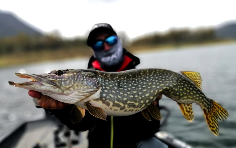 Full-Day Guided Boat Fishing in Extremadura, photo 5