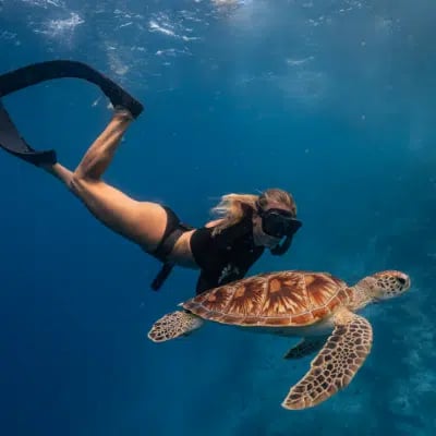 Guided Snorkel at Santa Maria and Chileno Bay Los Cabos, photo 4
