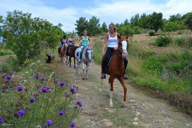 Kusadası Horse Riding Experience through Forest & Coastal Trails, photo 4