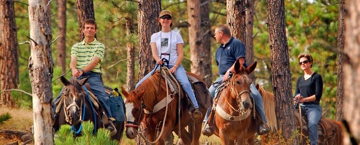 Kusadası Horse Riding Experience through Forest & Coastal Trails, photo 2