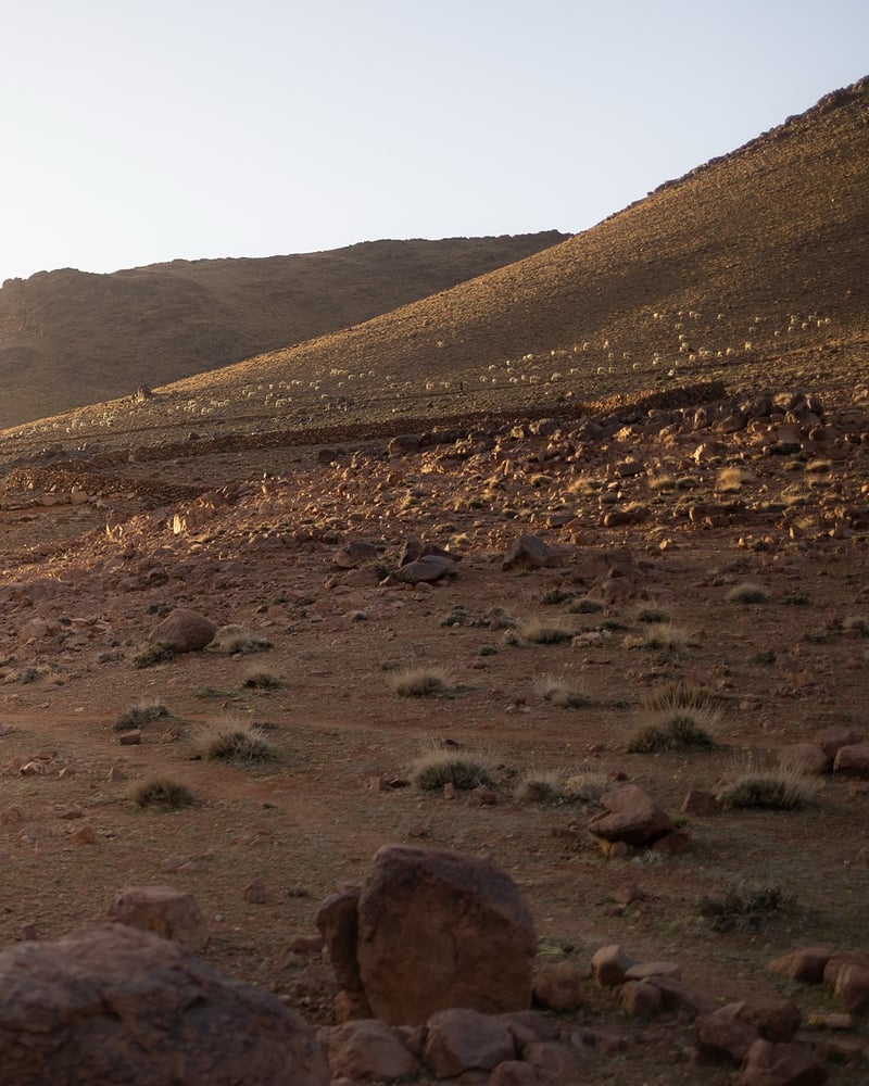 Atlas Mountains 4-Day Trek, photo 4