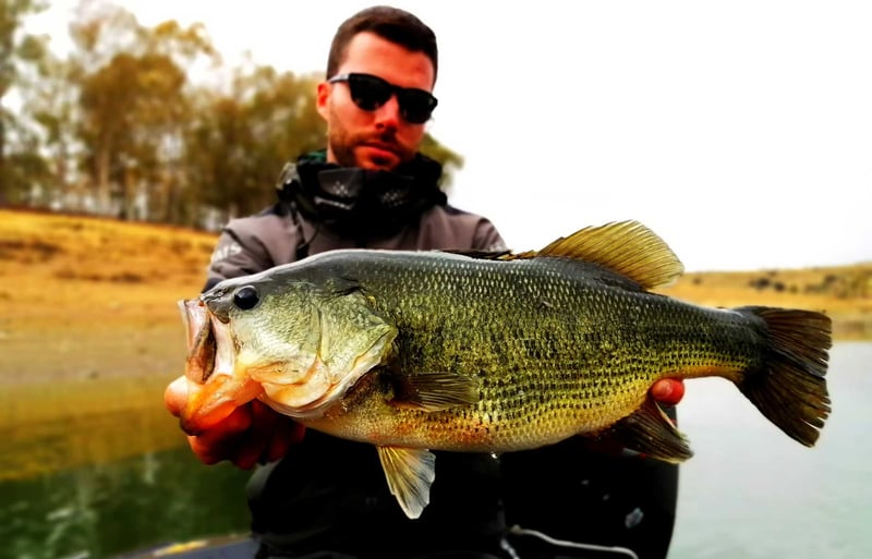 Full-Day Guided Boat Fishing in Extremadura, photo 3