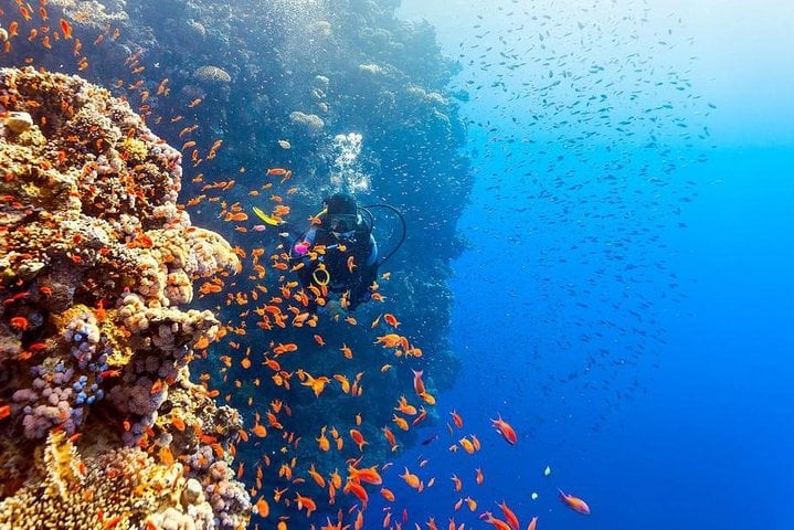 Intro Scuba in Hurghada, photo 5